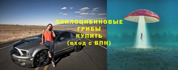 винт Медвежьегорск