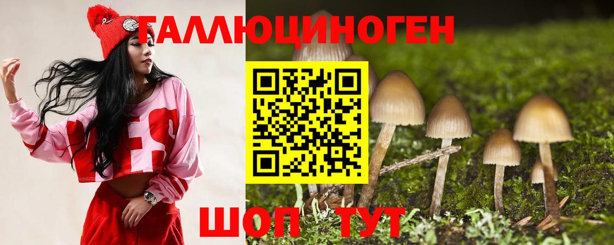 Псилоцибиновые грибы GOLDEN TEACHER  Вход с VPN  Майкоп 