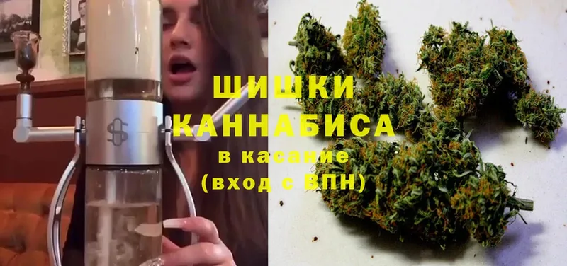 Бошки марихуана OG Kush  Майкоп 